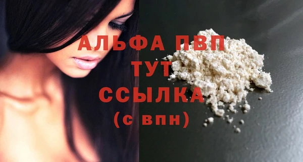 PSILOCYBIN Медвежьегорск