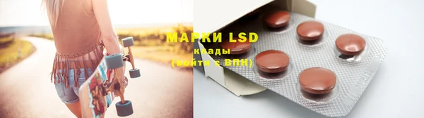 PSILOCYBIN Медвежьегорск