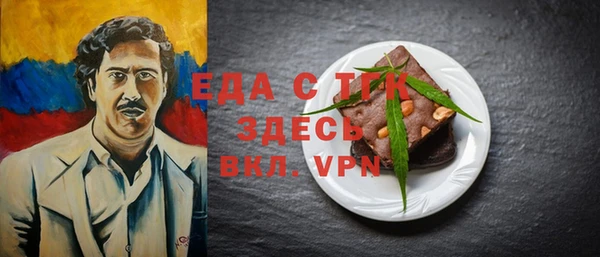 твердый Долгопрудный