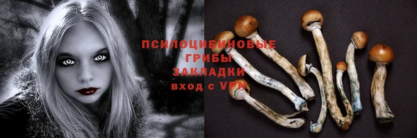 гашишное масло Магас