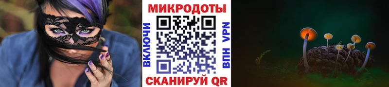 Галлюциногенные грибы Psilocybine cubensis  Покачи 