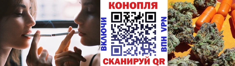 Шишки марихуана сатива  Покачи 