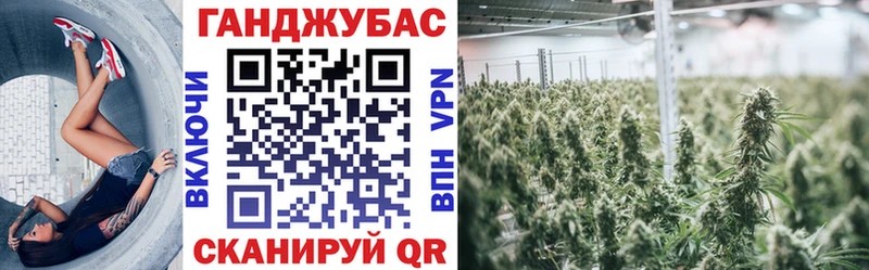 Бошки Шишки сатива Покачи